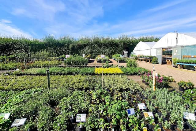 New Barns Nurseries is one of the best in Shropshire. Photo: New Barns Nurseries/Google
