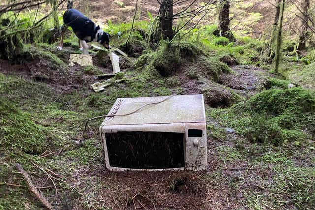 An unusual item discarded in the forest. Picture: Mat Edwards