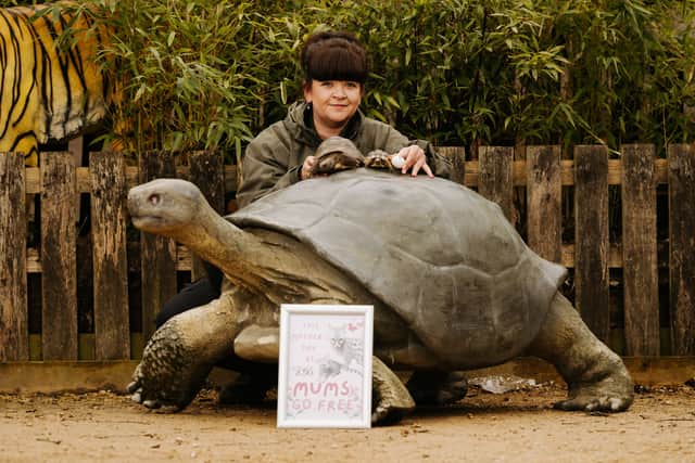 Exotic Zoo is offering free entry to all mums on Mothers Day. Pictured is Julie Doughty