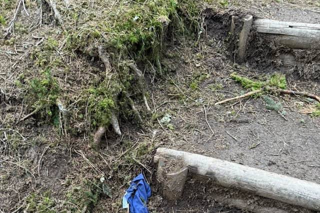 Dog poo bags discarded at Hafren Forest. Picture: Mat Edwards
