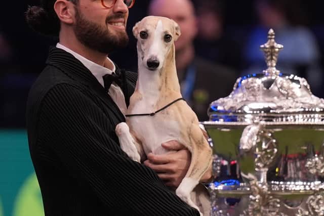 Giovanni Liguori from Italy with whippet Miuccia