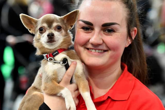 Robyn Jones and her chihuahua Albie. Albie came in third in his class!