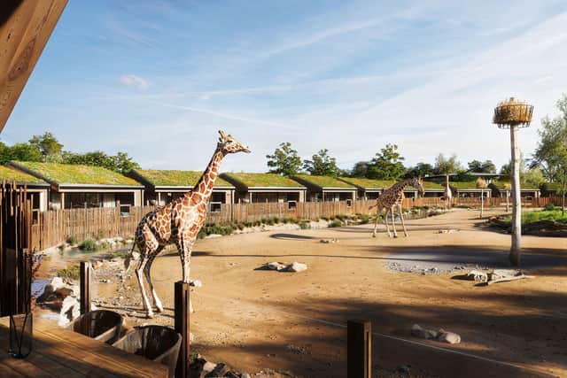 The Reserve at Chester Zoo - View from Giraffe Lodge