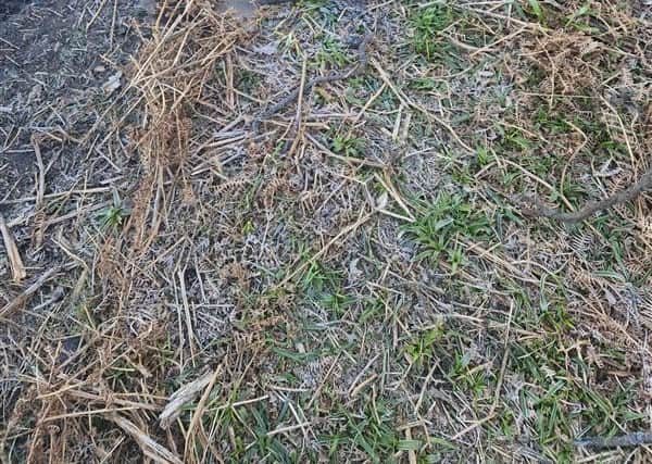 Police have received reports of individuals digging bike tracks at the historic site. Picture: West Mercia Police.