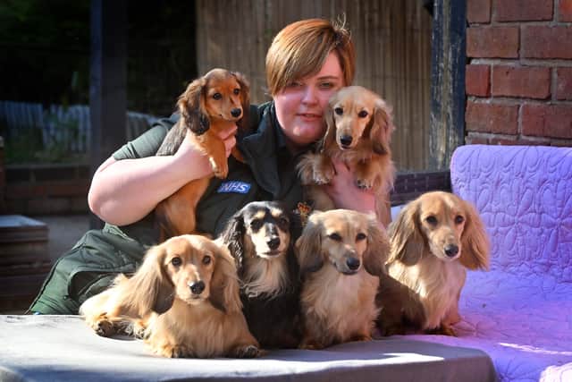 Aimee is a Paramedic with West Midlands Ambulance Service and has taken care of dachshund's for as long as she can remember