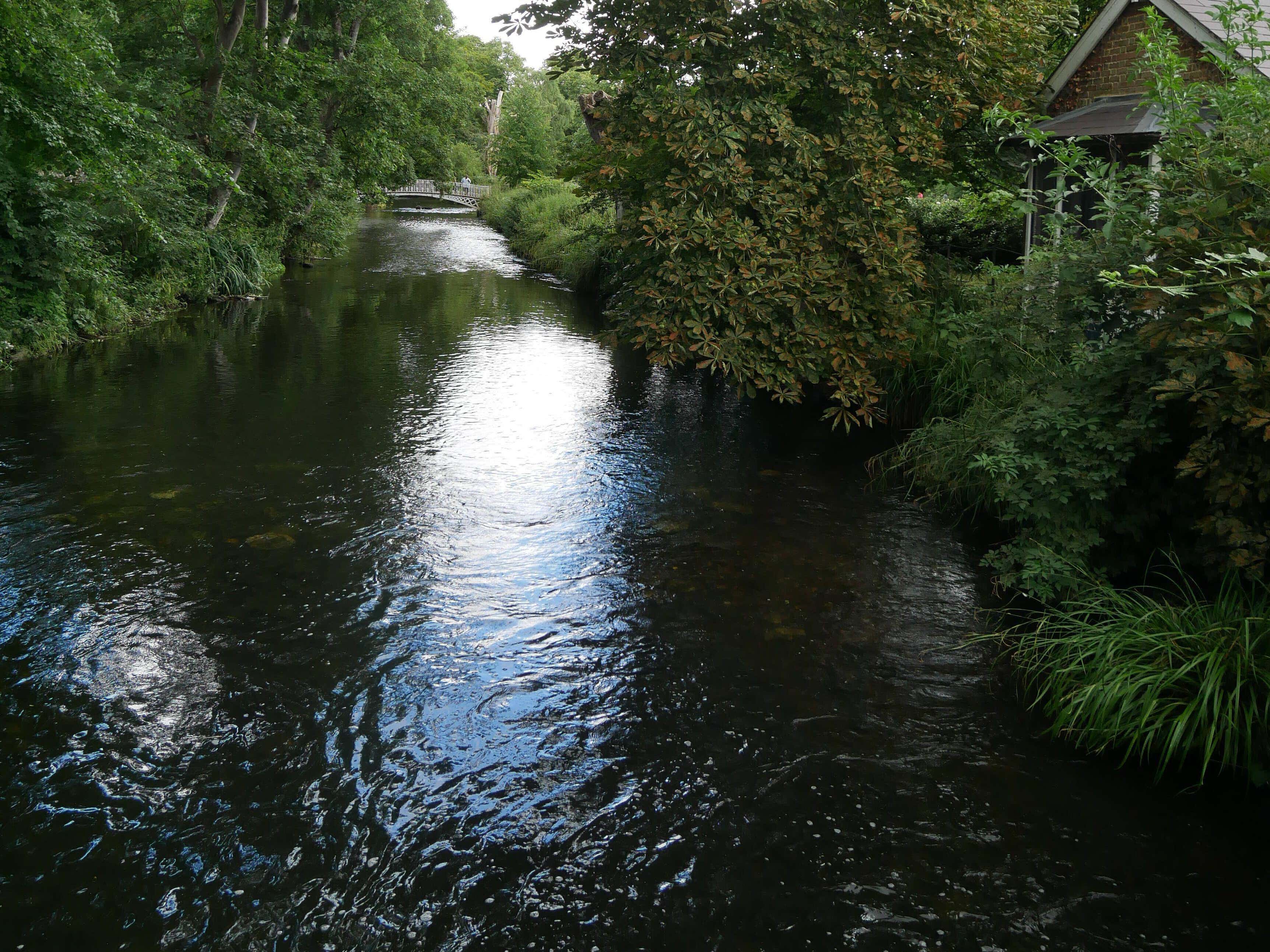 Urban rivers ‘vulnerable’ to pollution, MP warns after ‘massive’ spill