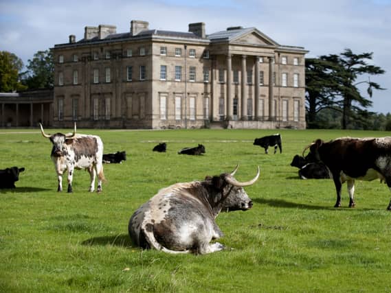 Attingham Park. Picture: National Trust/John Millar.