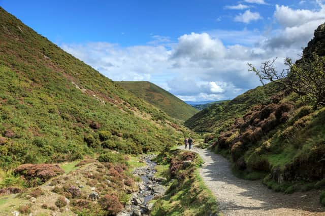 Carding Mill Valley, Shropshire. Photo: John Miller/National Trust Images