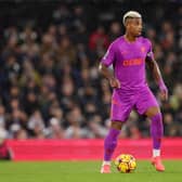 Mario Lemina (Photo by Jack Thomas - WWFC/Wolves via Getty Images)