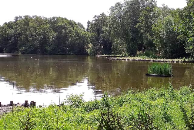 Dothill Nature Reserve