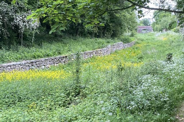How it looked heading North before the work. Picture: Shropshire Union Canal Society
