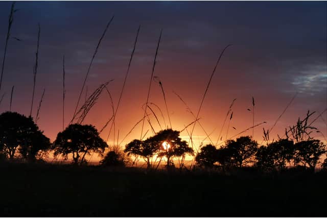 Sunset Silhouette)