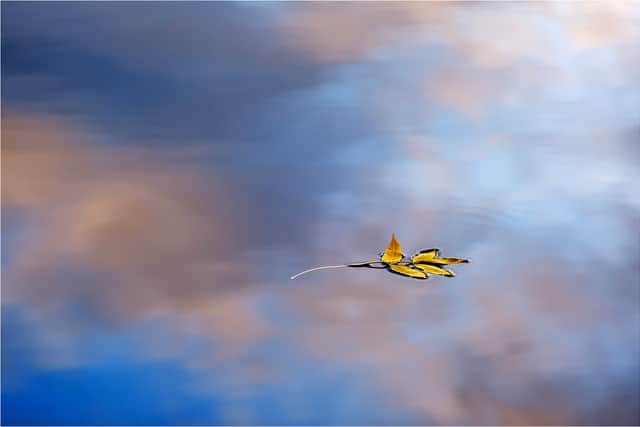 Chris Lewis with Just Floating By