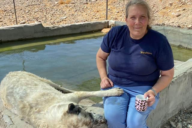 Louise with Ahmad in front of the dog swimming pool at the Iraq shelter