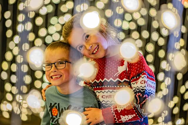 Chester Zoo's magical lanterns and light trail has opened.