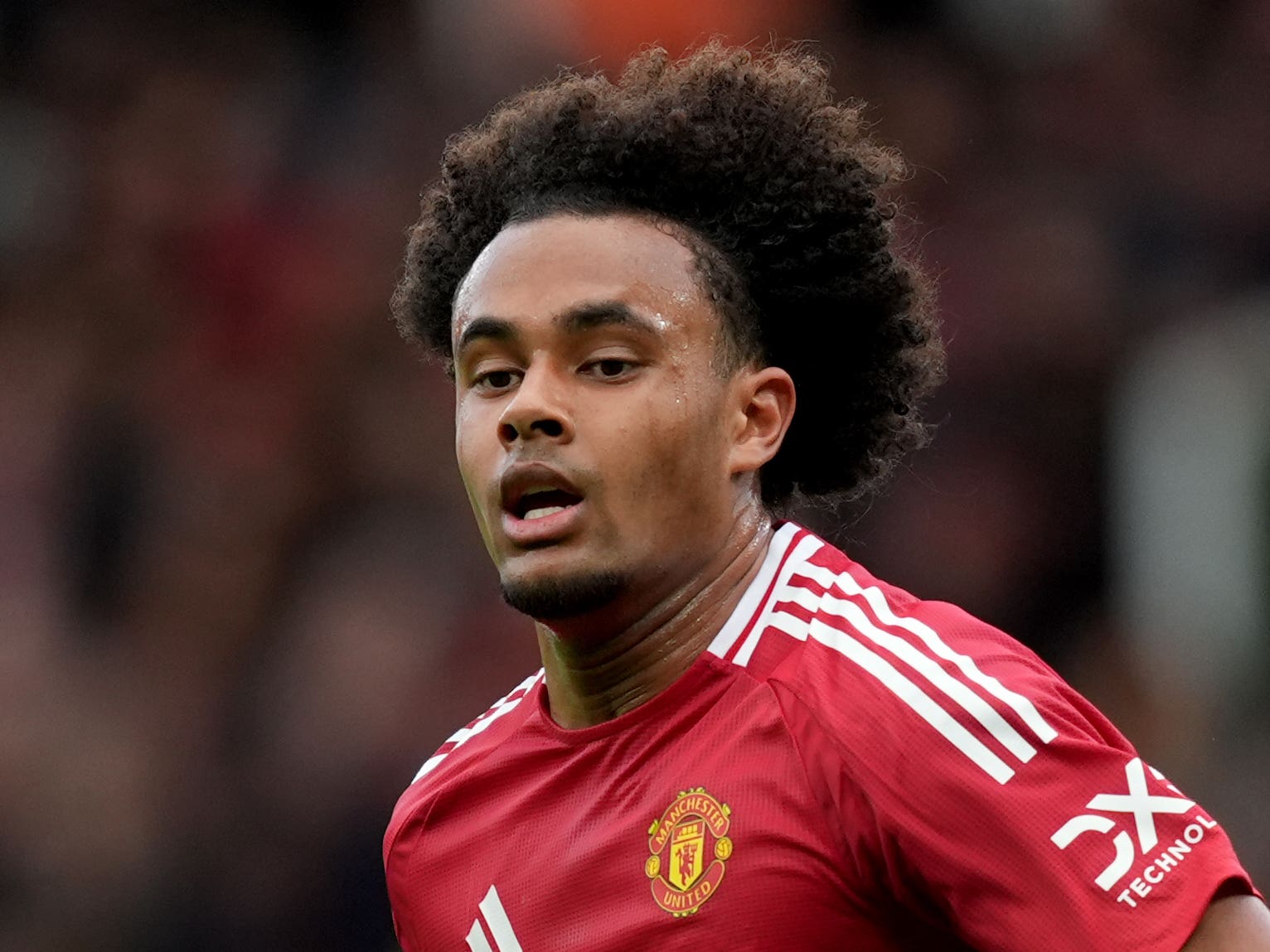 Hard times create strong people – Joshua Zirkzee ready to kick on at ...