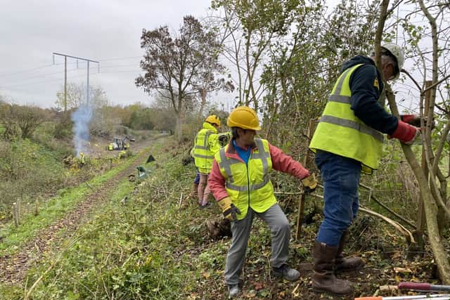 Hedge laying under way.