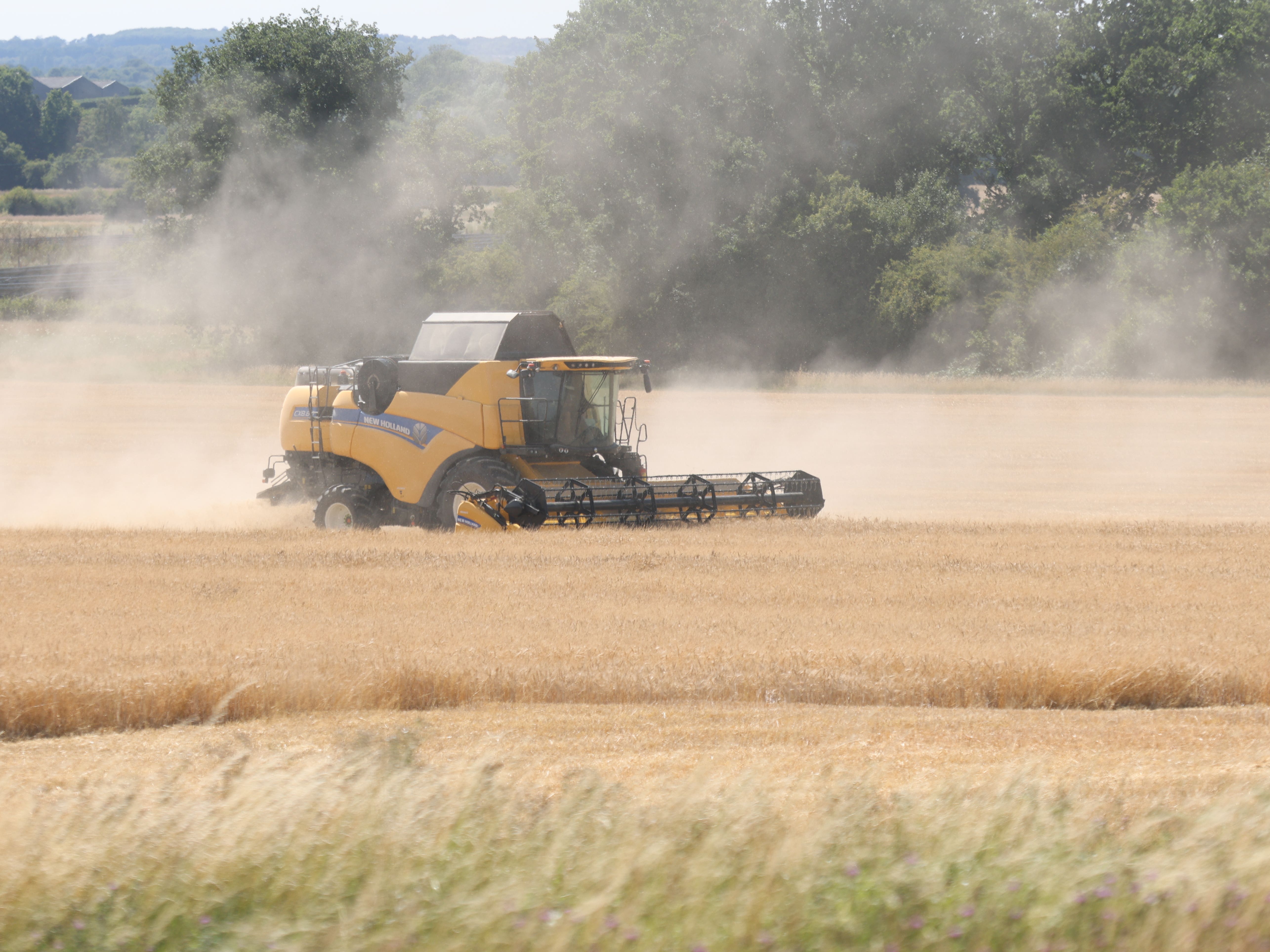 Chancellor defends proposed changes to inheritance tax on farms