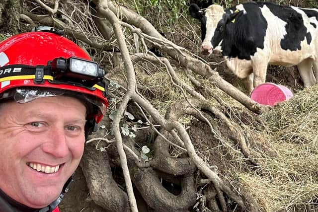 Firefighters to the rescue after cow gets stuck on riverbank