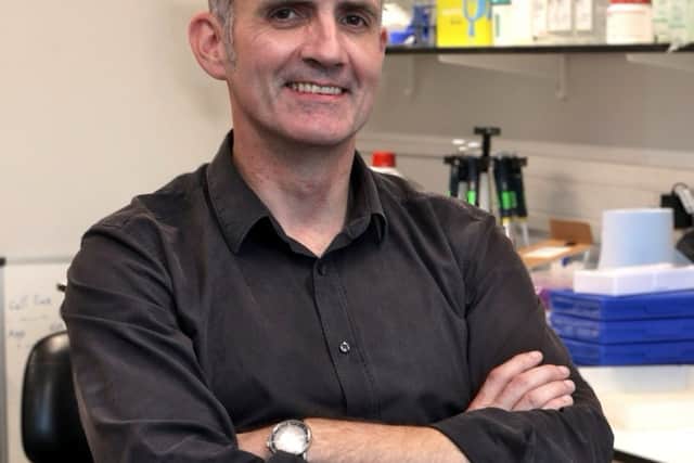 Professor Stephen B. Walsh