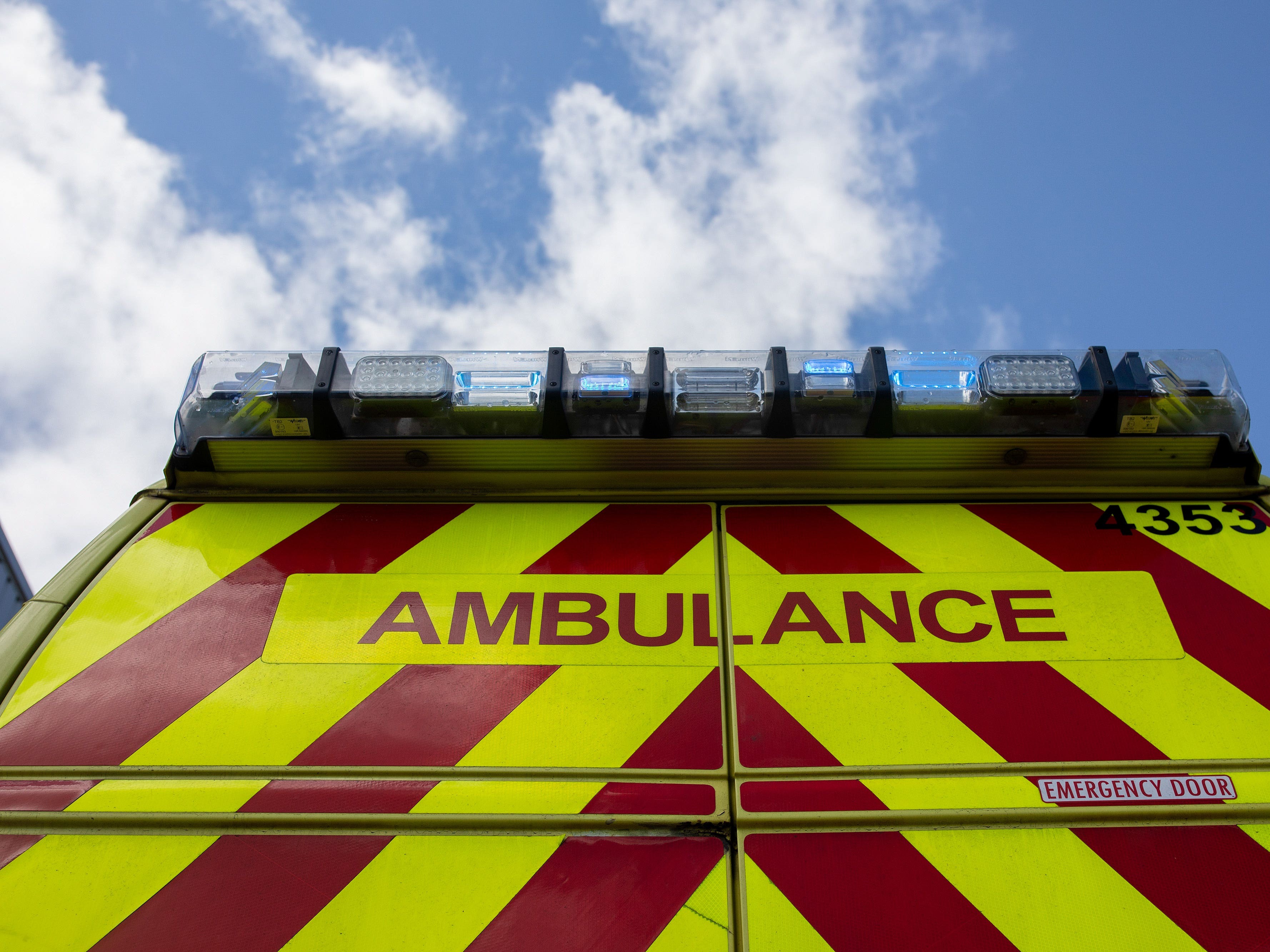 Woman dies after being attacked by pet dog in Coventry