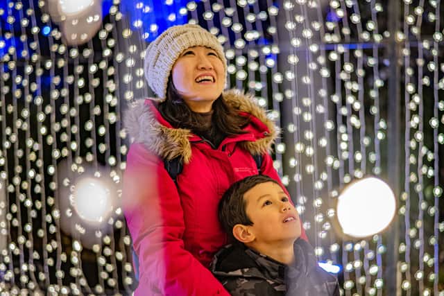 Chester Zoo has revealed its plans for its spectacular winter light trail.