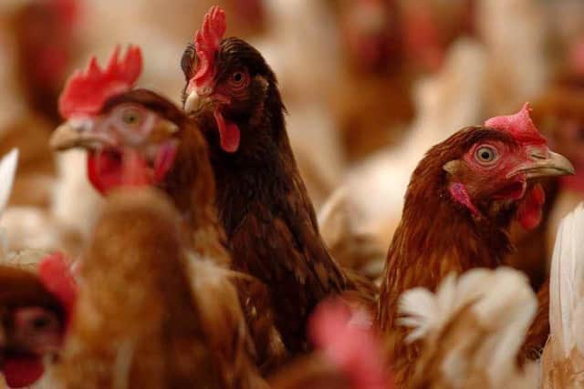 The legal challenge questions Shropshire Council's decision to approve the farm
