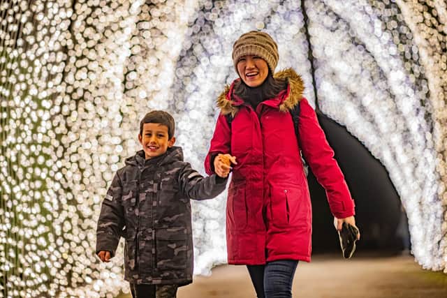 Chester Zoo has revealed its plans for its spectacular winter light trail.