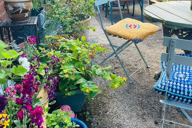 The new 'Connection Garden' in Belle Vue, Shrewsbury