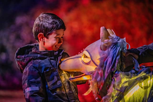 Chester Zoo has revealed its plans for its spectacular winter light trail.