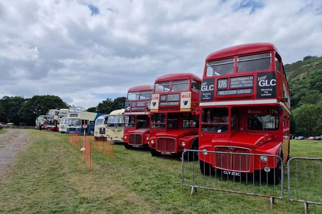 Vintage buses