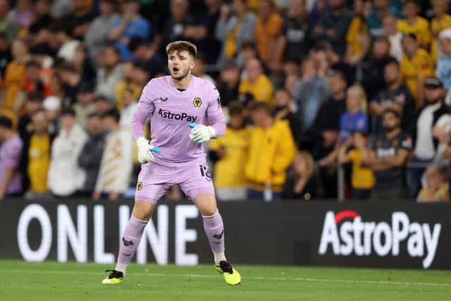 Matija Sarkic (Getty)