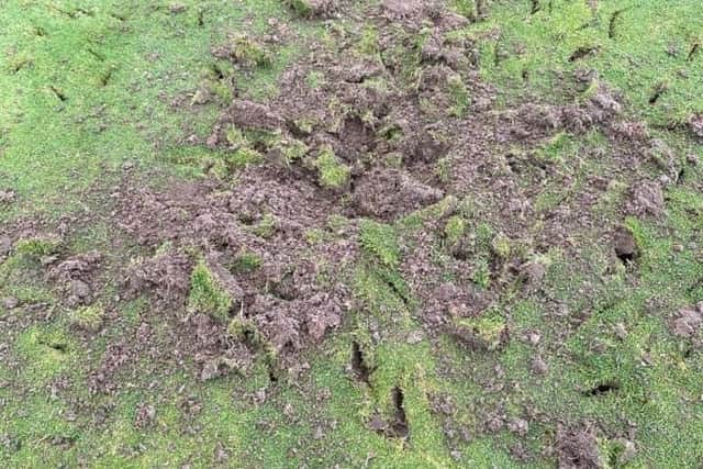 A group of travellers have set up camp at Meole Brace Golf Course, where parts of the course have been vandalised. Pictures: Meole Brace Golf Club