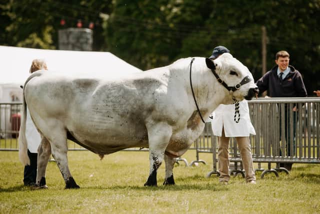 Shropshire County Show