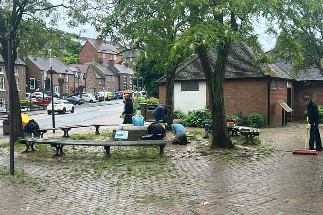 Working hard the Panthers clearing up