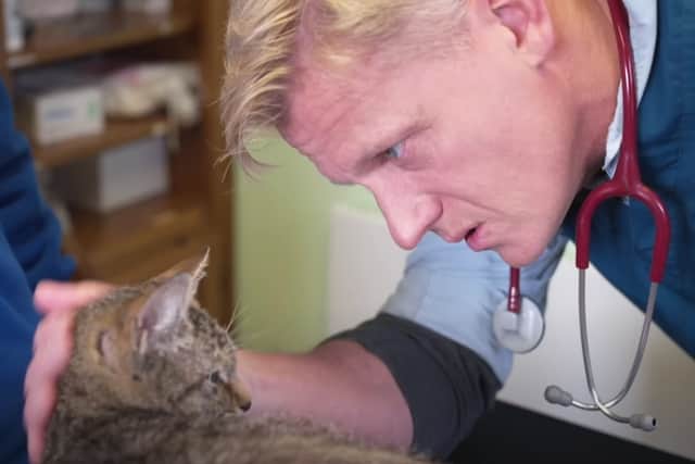 The team put Dr Scott to work in the clinic. Photo: Rescue Vet/Youtube