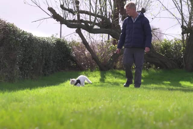 Dr Scott happily took Johnny on one of his walks. Rescue Vet/Youtube
