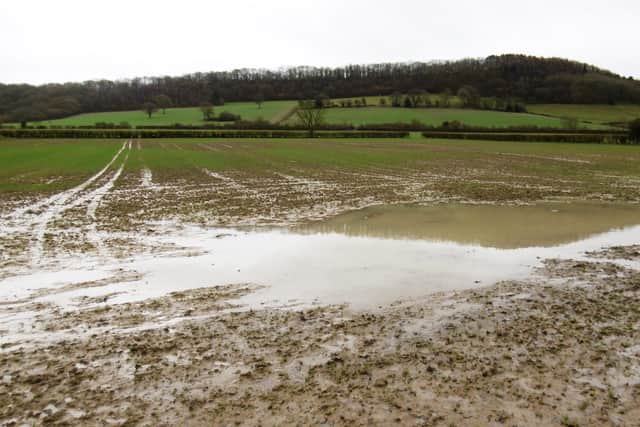 Photo by Peter Steggles in Rushbury