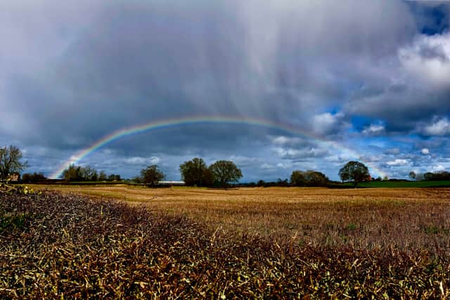 Photo by Sue Austin in Ellesmere
