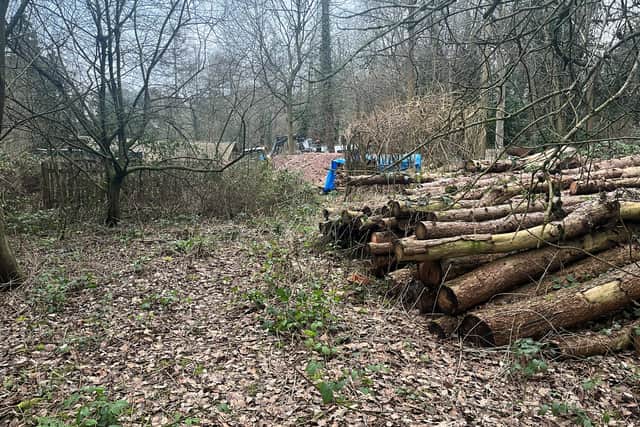 The land in Coalbrookdale where the pond will be built. Picture: Telford & Wrekin Council