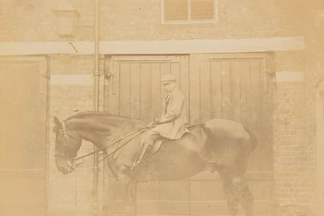 A large horse, with rider. Picture: Shropshire Council