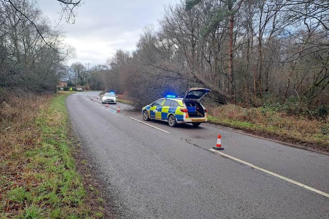 Police have been in attendance on the A442 where a tree fell into the road on a blind bend. Picture: North Shropshire SNT