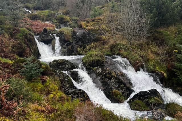 The source of the Severn. Photo: David Jones