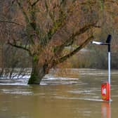 Five flood warnings are in place along the River Severn in Shropshire, including one at The Quarry, Shrewsbury