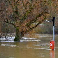 Storm Boelo: Flood alert issued for the River Severn as levels rise - LIVE updates