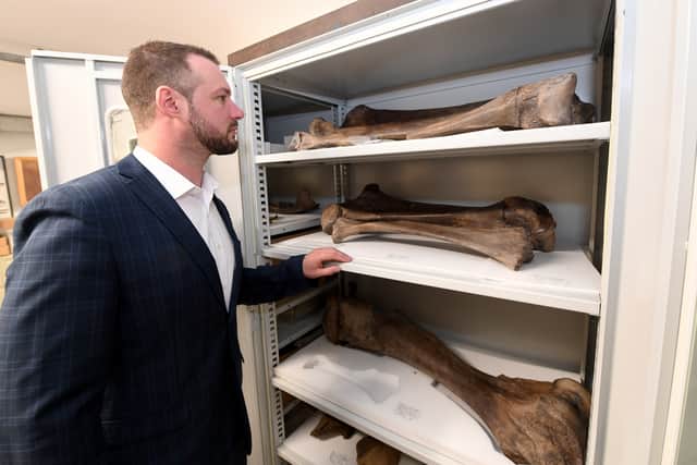 Dan examines the mammoth bones
