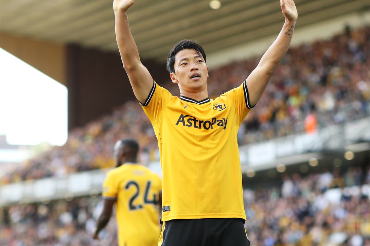 Wolves Taking Rouge Test Wolves are taking risks again - and it is starting to pay off