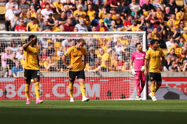 Wolves (Getty)