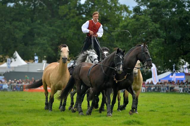 Burwarton Show