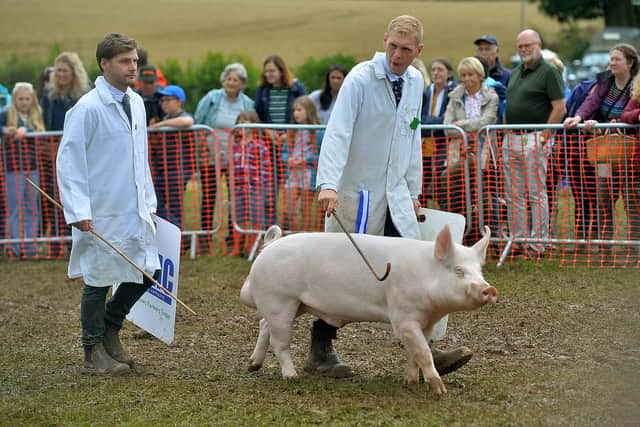 Burwarton Show